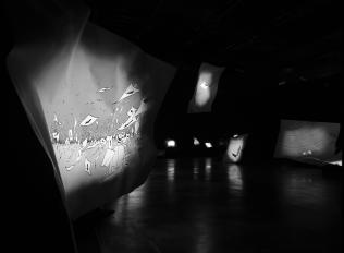 LiFE_MarcAntoineMathieu_SENS