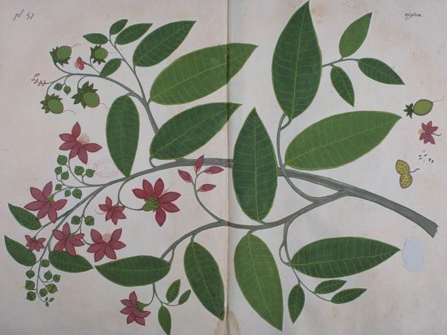 Bibliothèques éphémères: plage, parcs et jardins