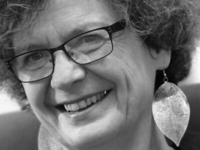 Fenêtre sur loire 1 avec Dominique Sigaud Mobilis