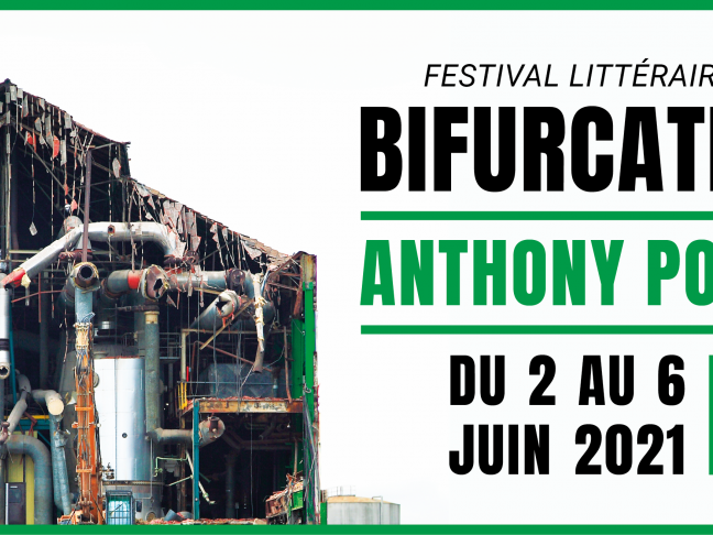 Visuel Bifurcations#6