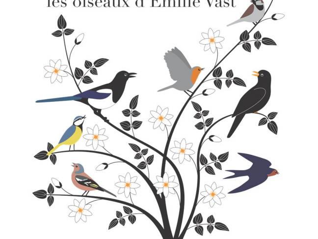 Ornithos, les oiseaux d'Emilie Vast