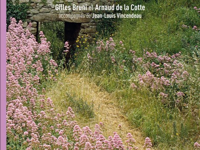 Arrangement végétal