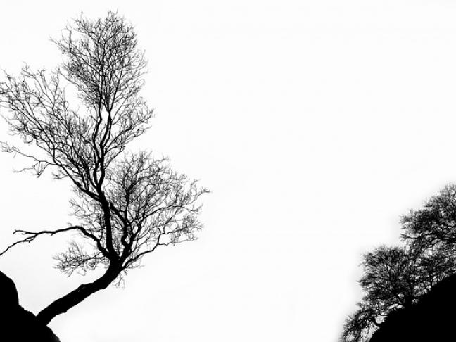 Dessiner la nuit en manga