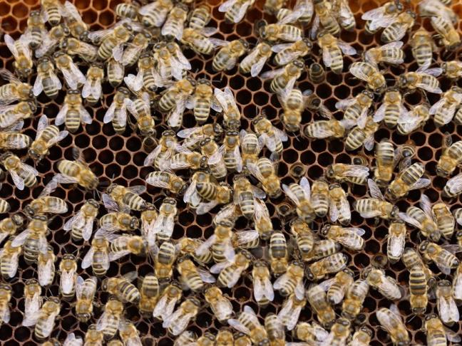 Éditeurs : quelles rencontres avec les libraires et les bibliothécaires ?