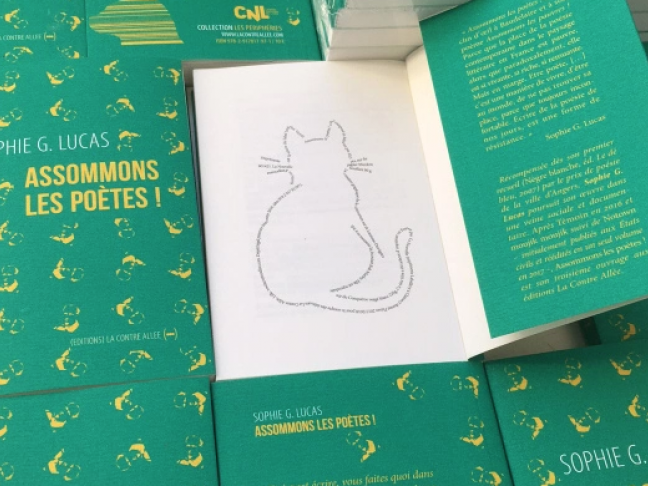 Assommons Les Poetes De Sophie G Lucas Mobilis