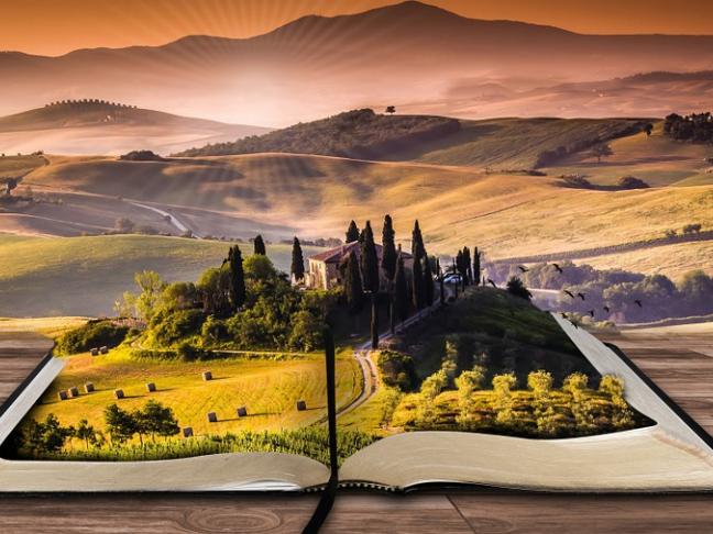 Le voyage masse, de Frédéric Barbe