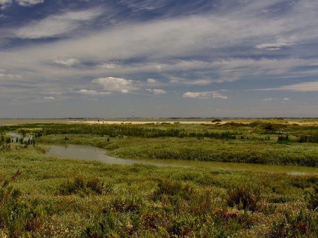 Figures qui bougent un peu et autres poèmes de James Sacré