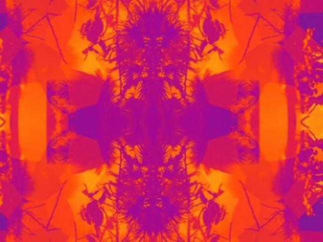 résidence écriture numérique Marseille