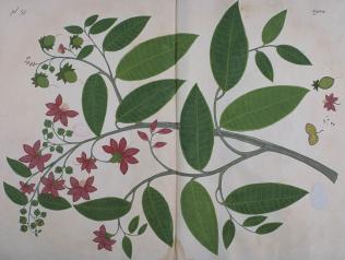 Bibliothèques éphémères: plage, parcs et jardins