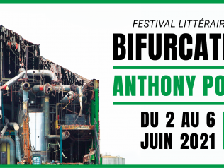 Visuel Bifurcations#6