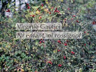 Rencontre avec Virginie Gautier