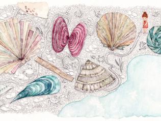 Illustration tirée du livre L'enfant précoce 