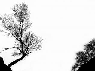 Dessiner la nuit en manga