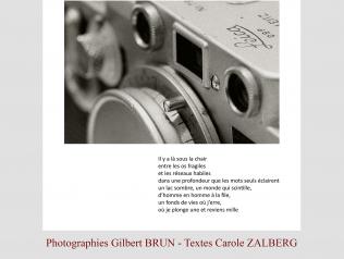 Exposition Dialogues