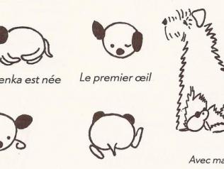 Dachenka par Karel Čapek