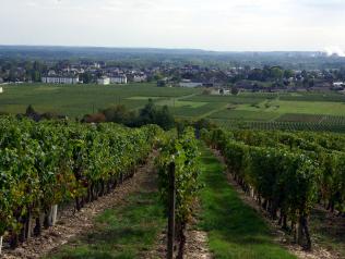 Bourgueil
