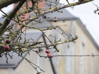 Résidence d'auteur à la Maison des écritures (37)